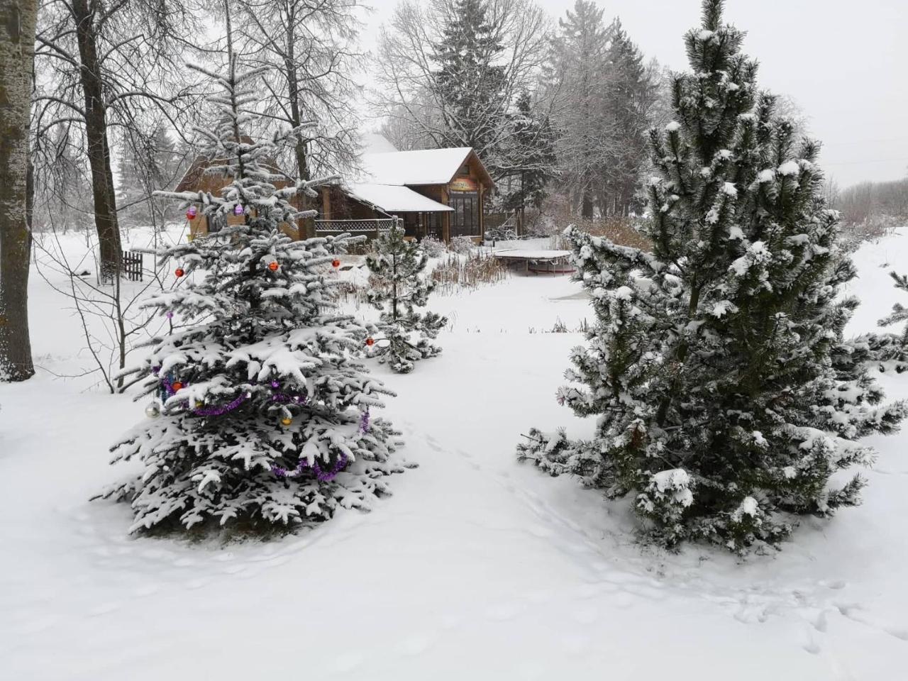 Raudonkalnis Mankiskiai Exterior foto